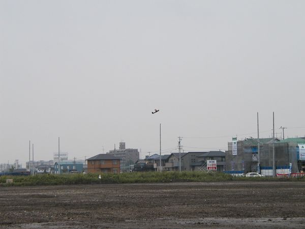 sQ